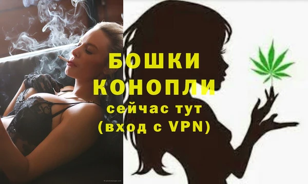 хмурый Аркадак