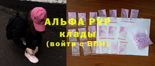 хмурый Аркадак