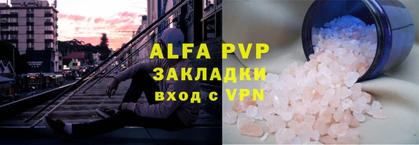 хмурый Аркадак