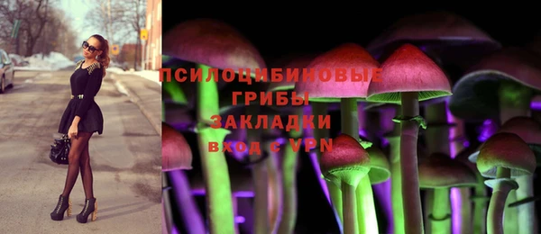 mdpv Арсеньев