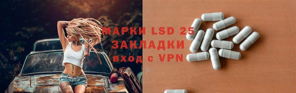 хмурый Аркадак