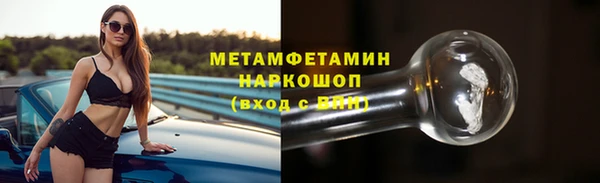 хмурый Аркадак
