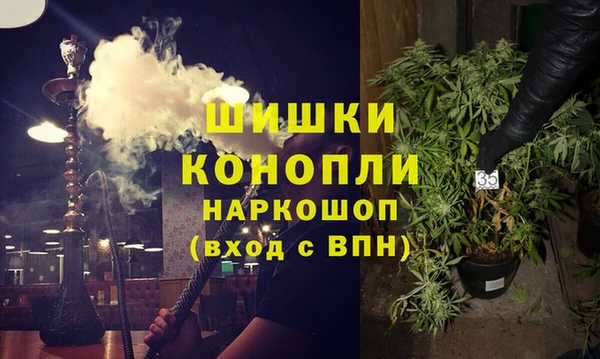 хмурый Аркадак
