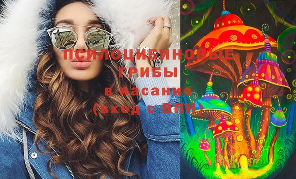 хмурый Аркадак