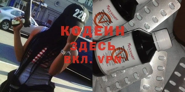 хмурый Аркадак