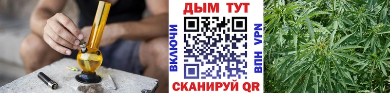 как найти наркотики  Инза  Канабис план 